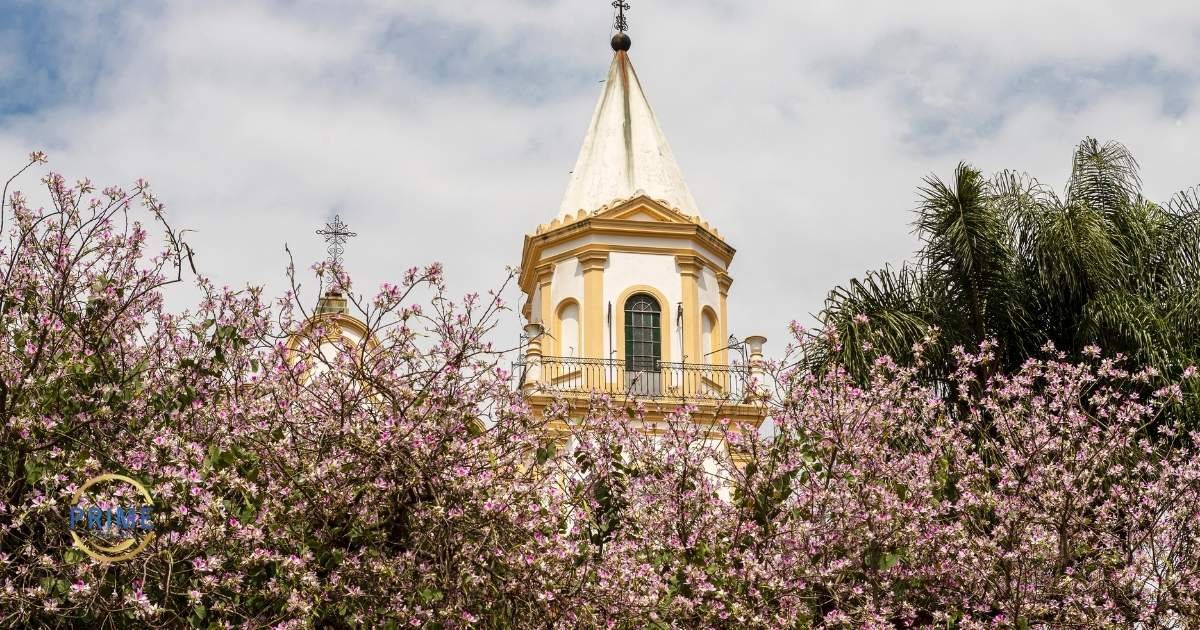 Torre da igreja histórica de Santana de Parnaíba emoldurada por árvores com flores rosas, com logo da Prime Saúde Oral